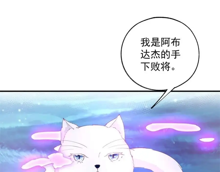 第207话 从猫到书到玩偶23