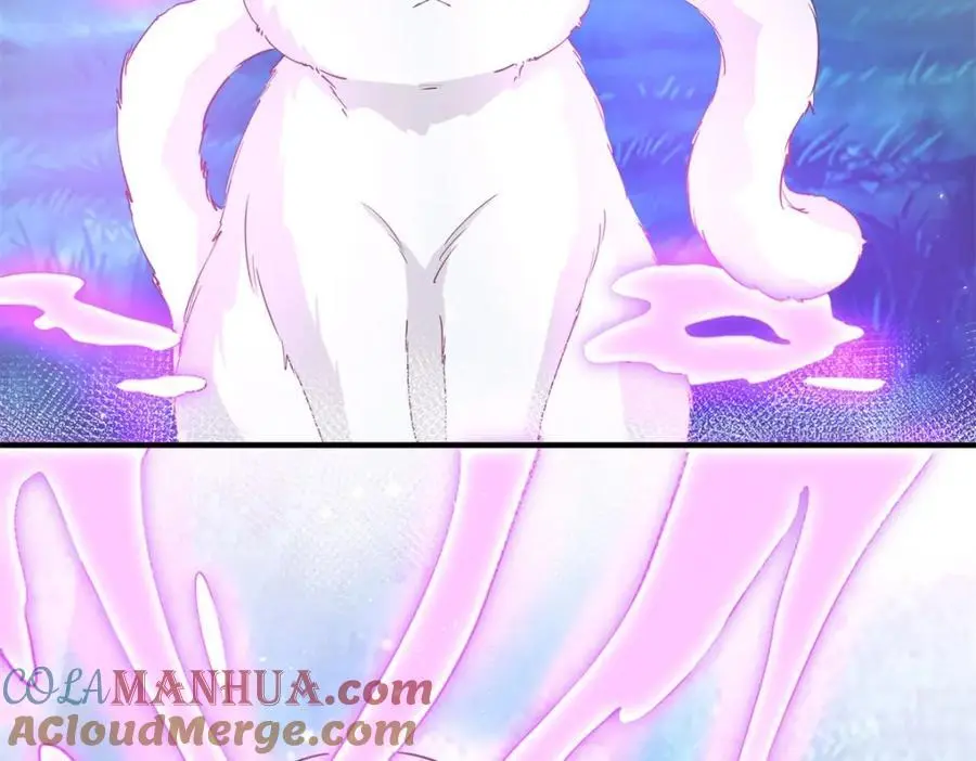 第207话 从猫到书到玩偶24