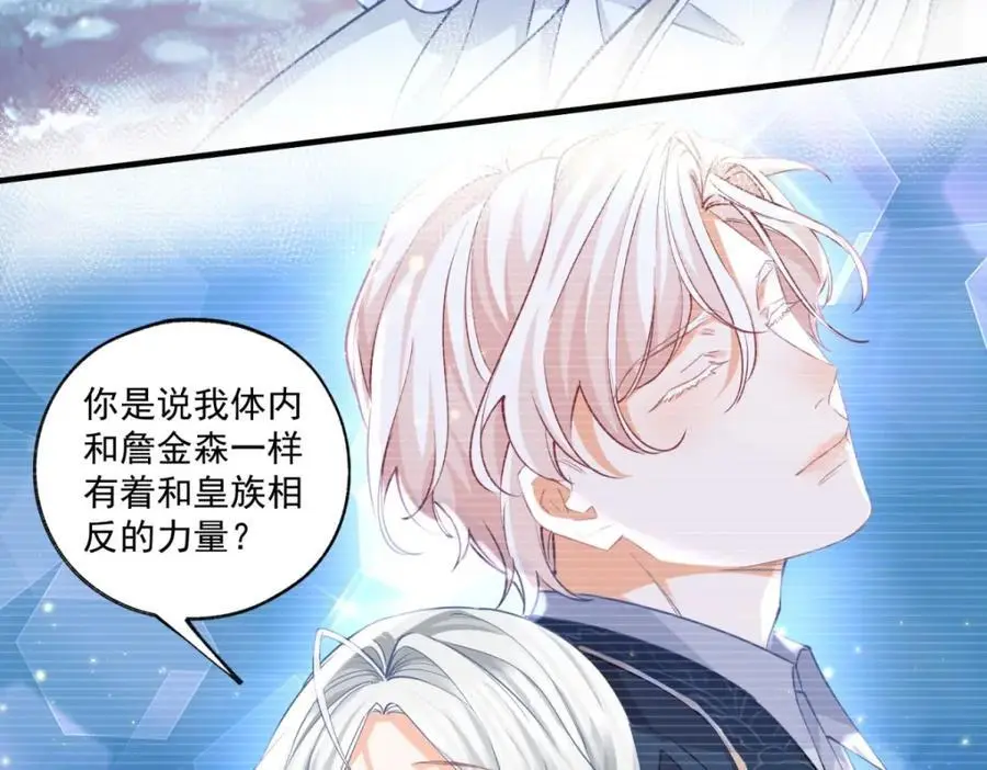 第208话 最后的计划19
