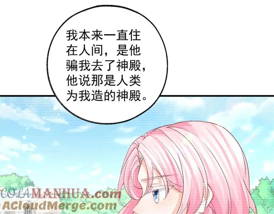 第207话 从猫到书到玩偶42