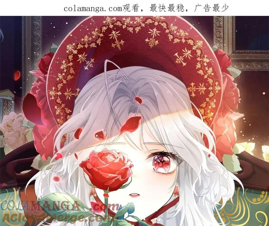 第244话 你不在书中0
