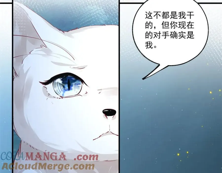 第215话 贝贝的灵魂渐渐远去9