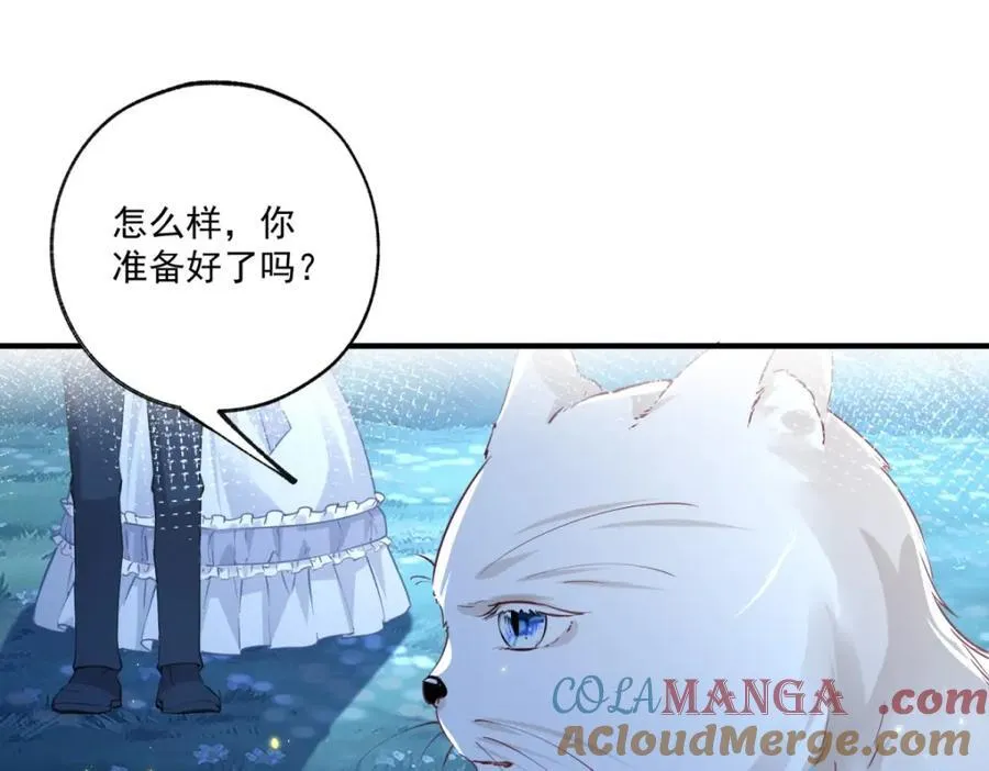 第215话 贝贝的灵魂渐渐远去12