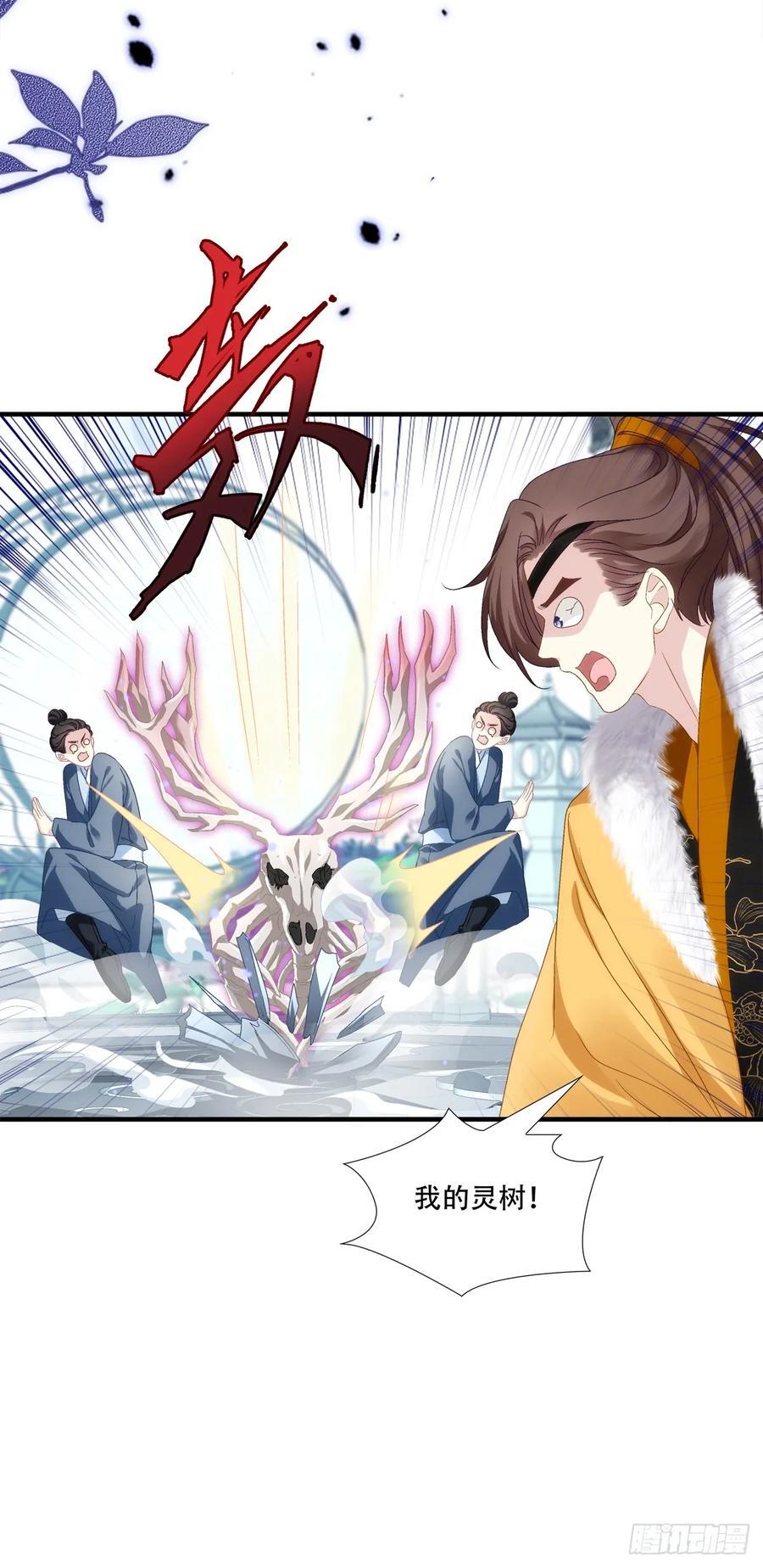 少君殿下到！16