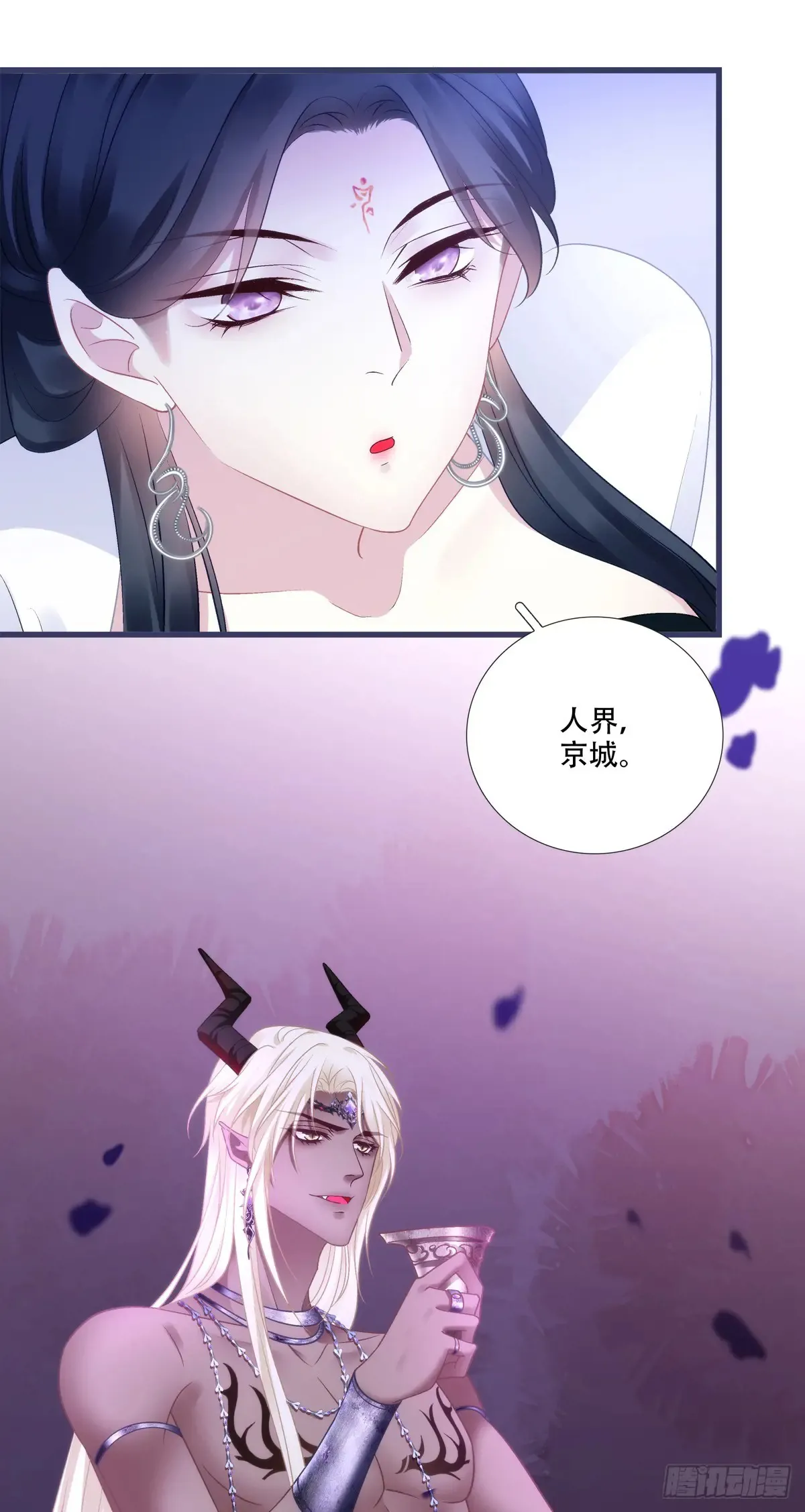 小芒果每天都在逃跑！37