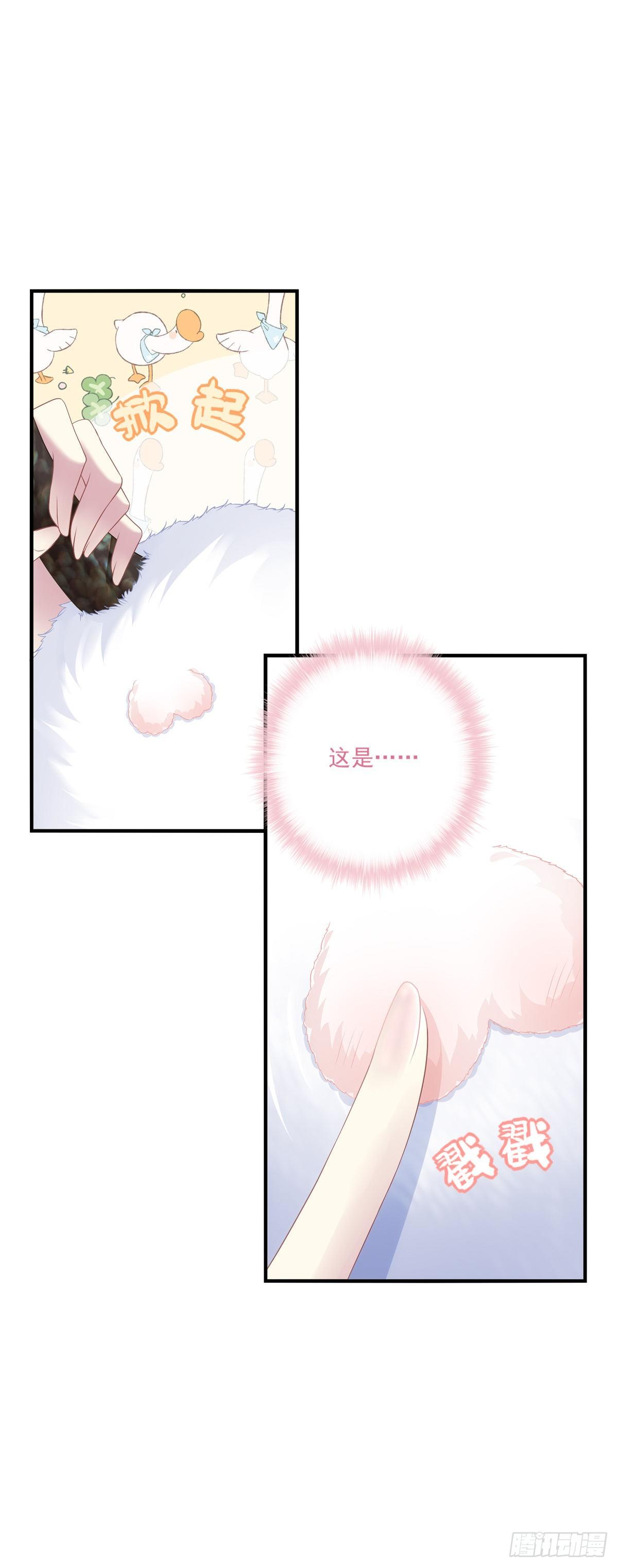 未婚夫变小宠物！33