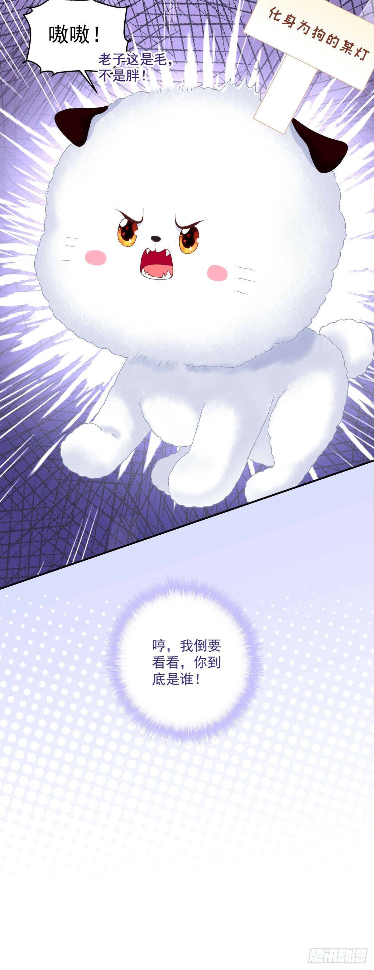 不许让别人碰你！40