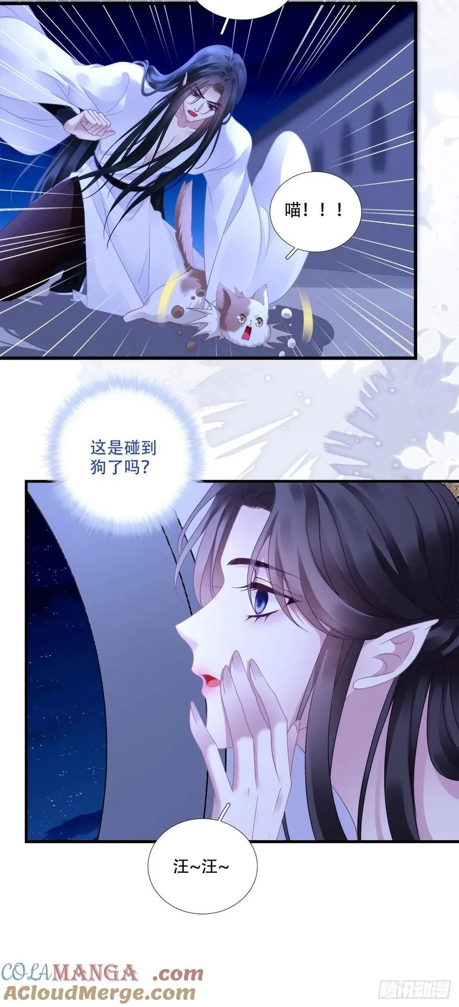 灯芒深夜幽会！6