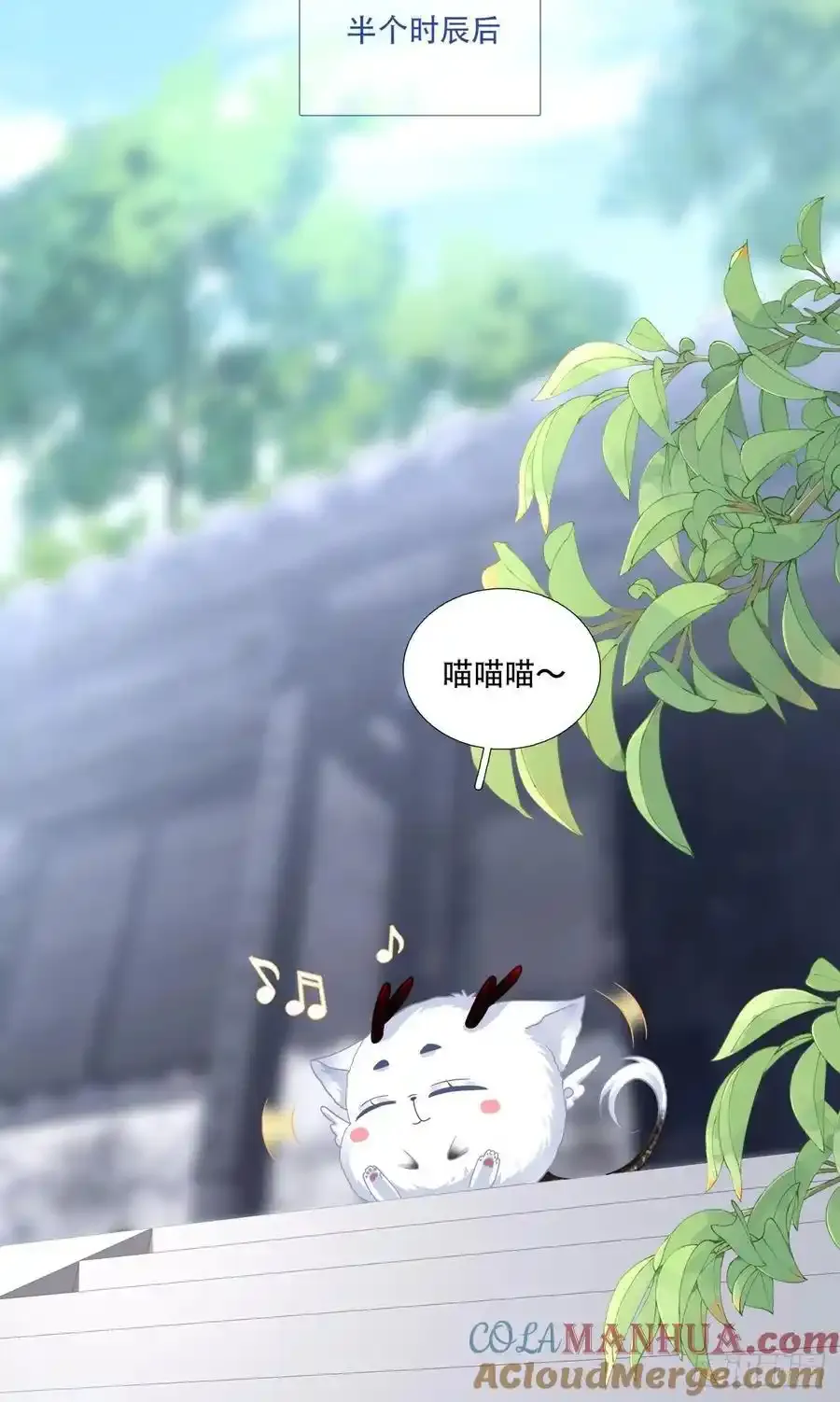 小芒果的女装play！34