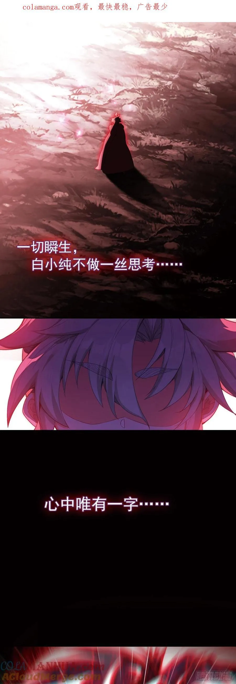 白小纯护法0