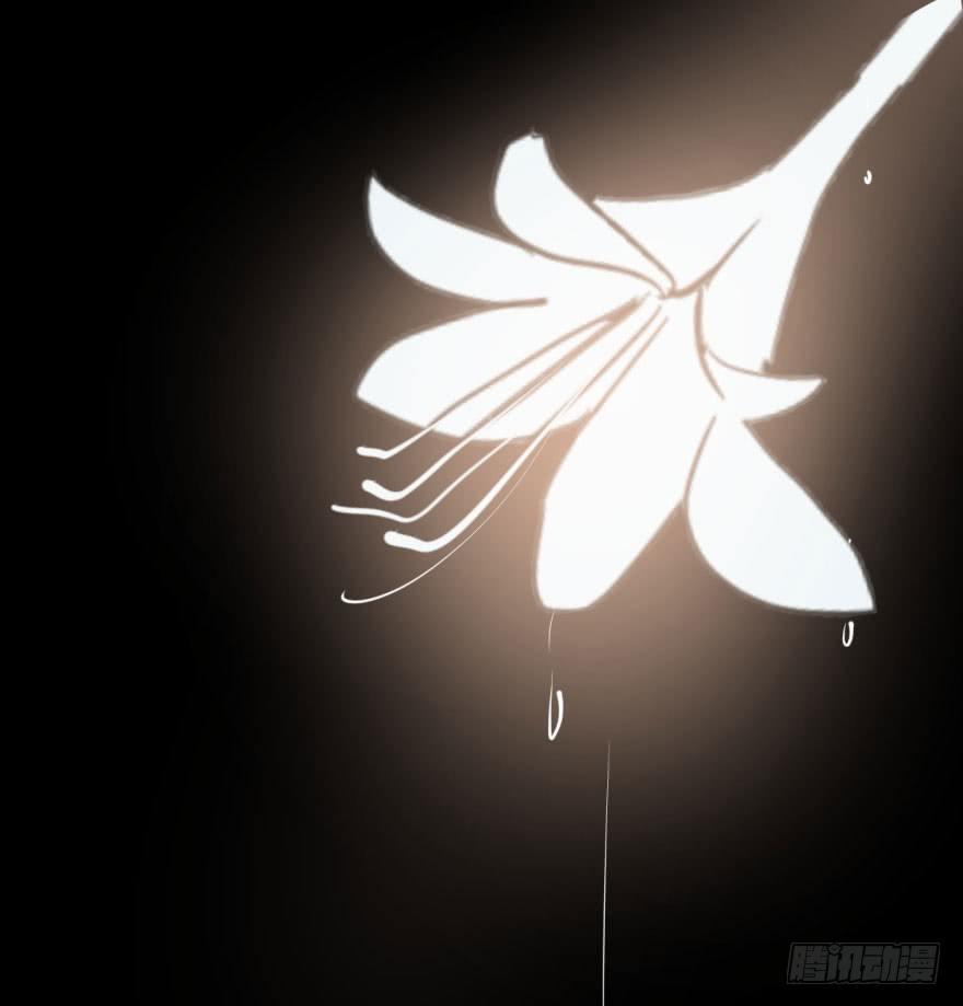 第四十二话 花卉养护54