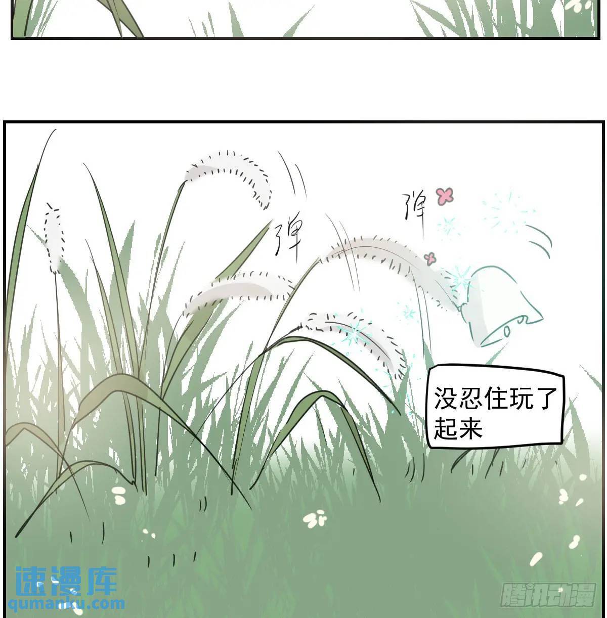 番外 小种子流浪记19
