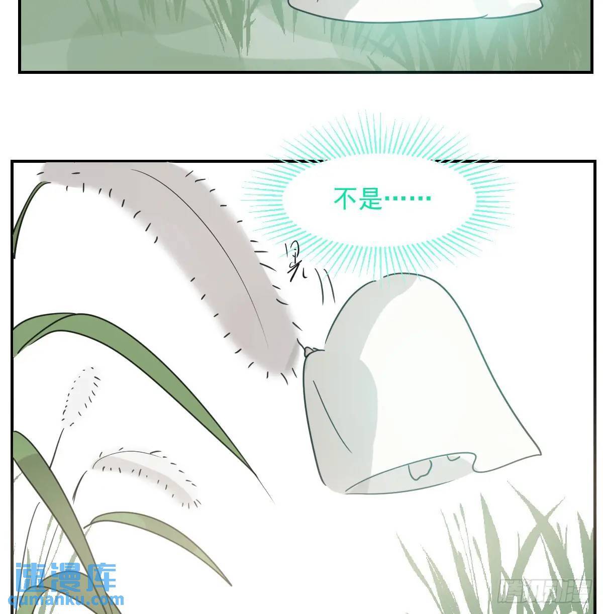 番外 小种子流浪记18