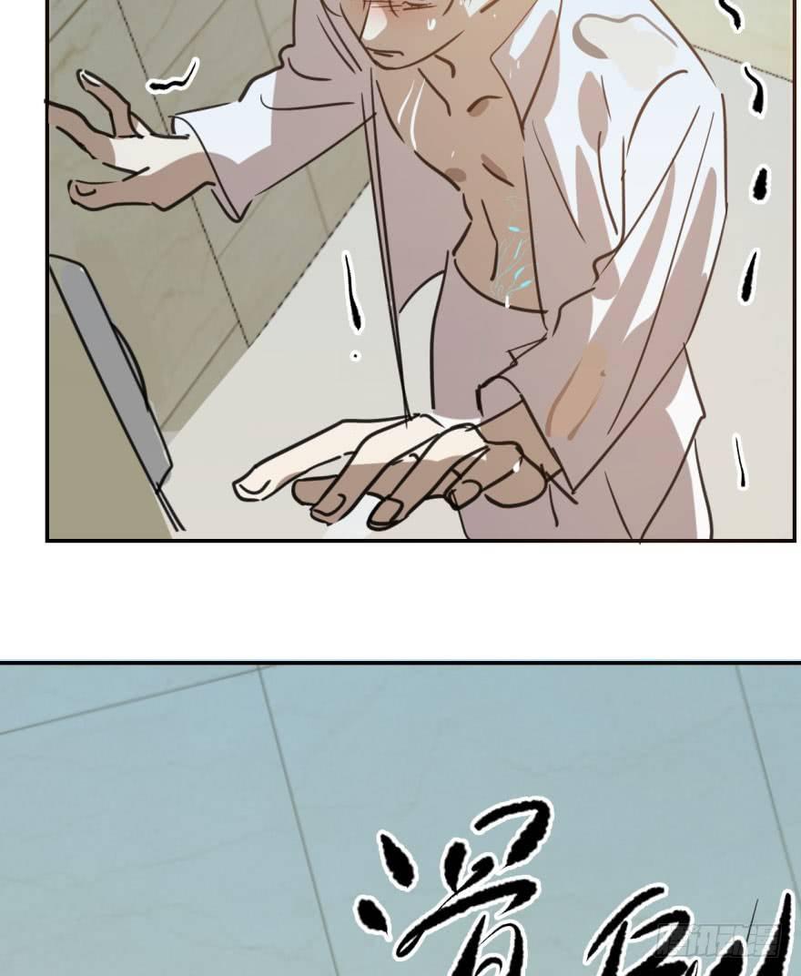 第四十二话 花卉养护12