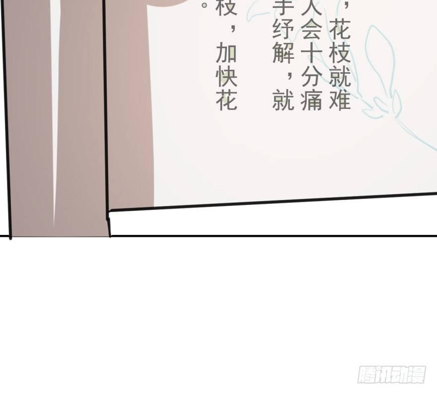 第四十二话 花卉养护34