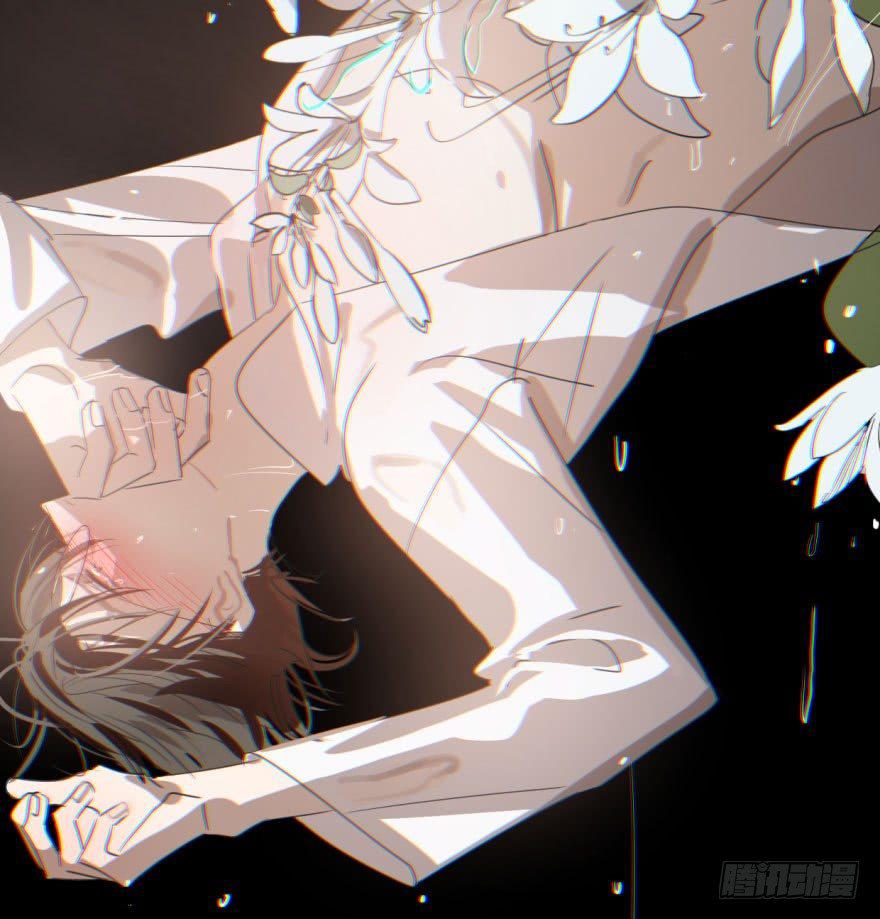 第四十二话 花卉养护65