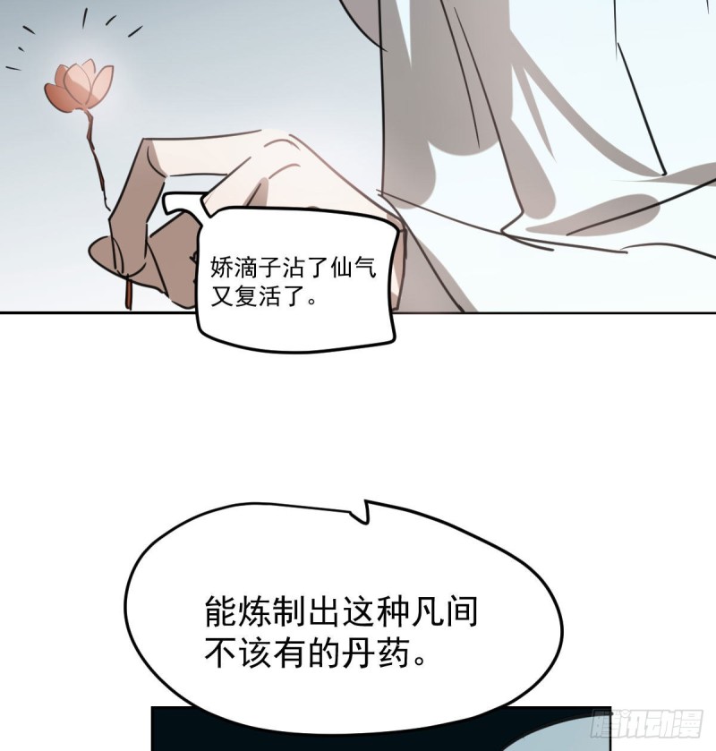 第116话 玄月走了29