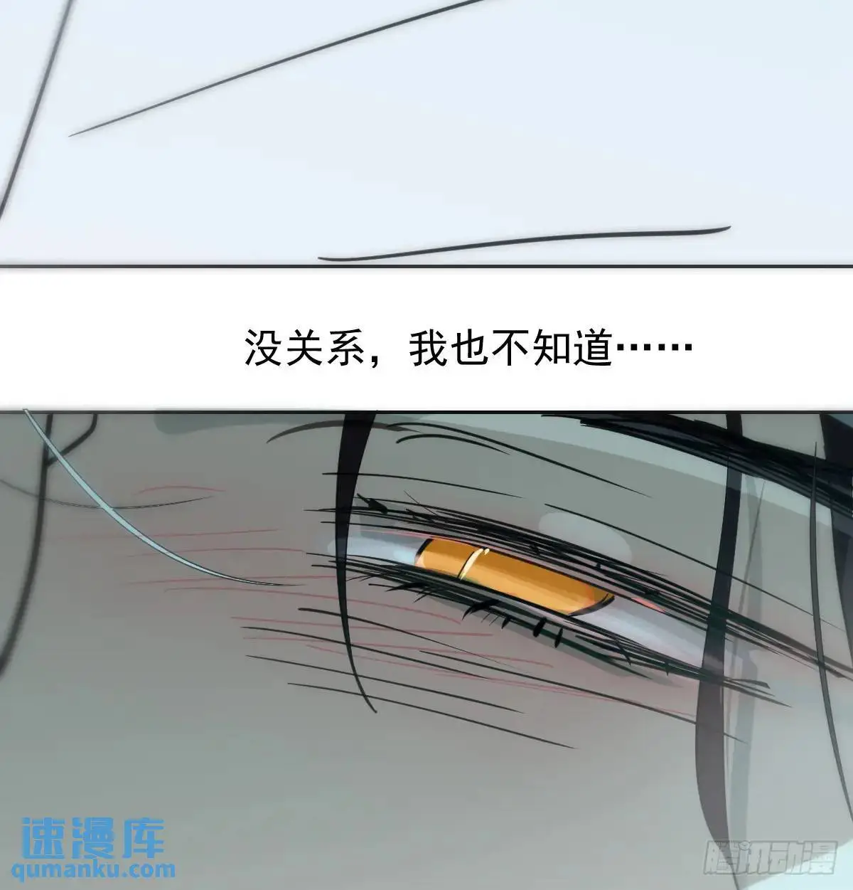 后篇1   了解（1）83