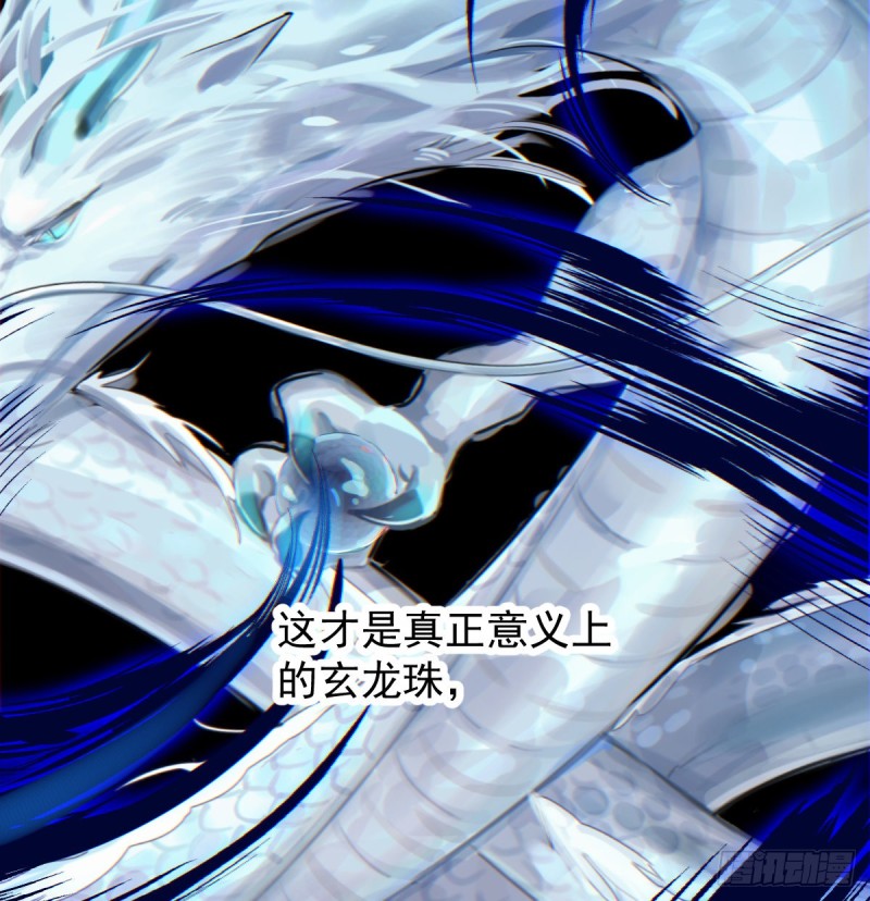 第133话 玄龙珠8