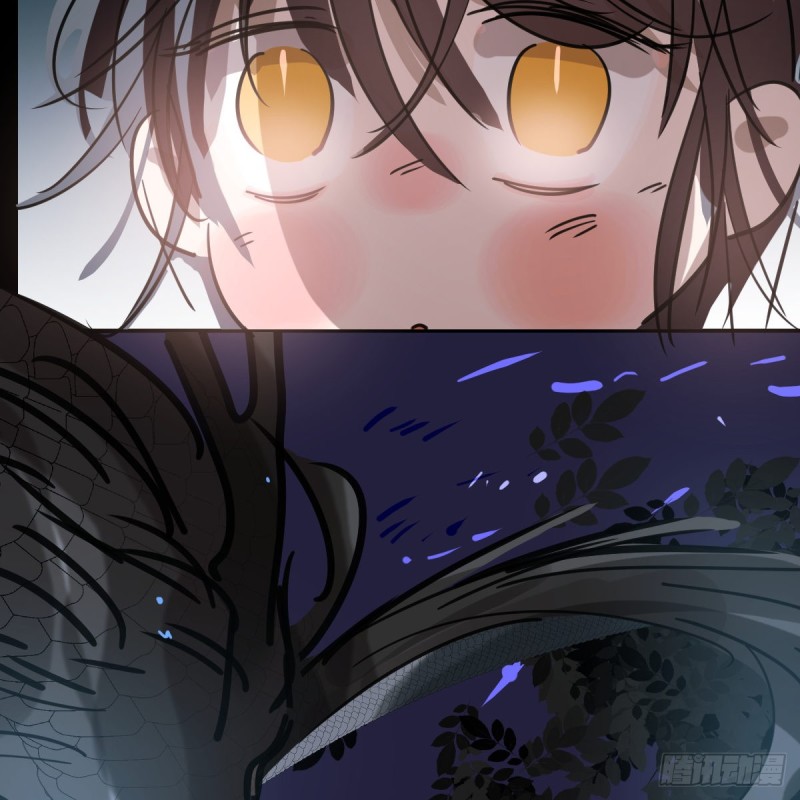 第135话 玄月变身46