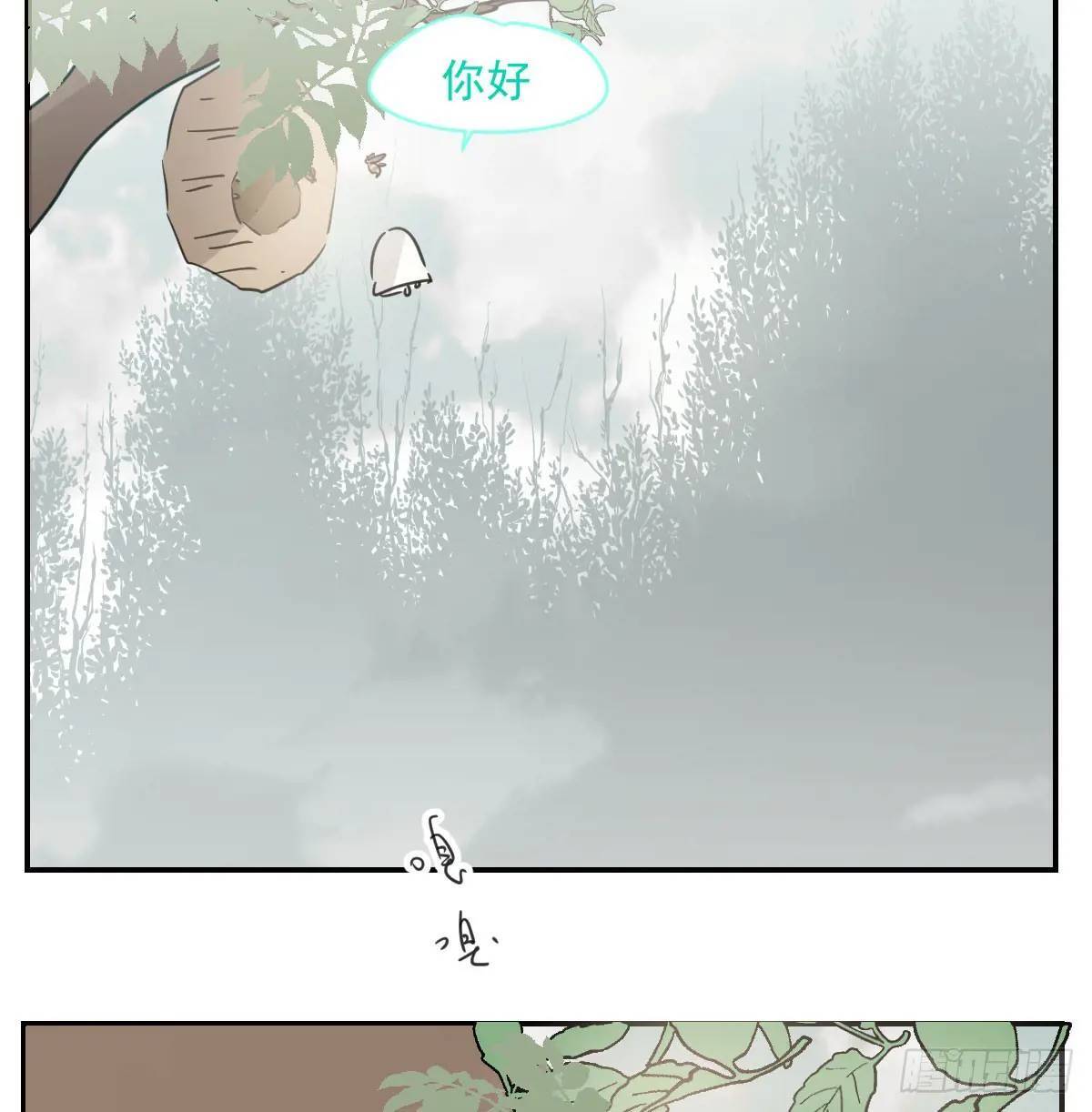 番外 小种子流浪记24