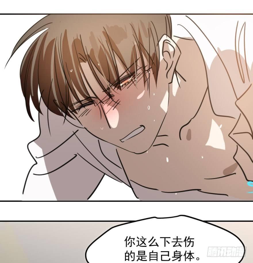 第四十二话 花卉养护15