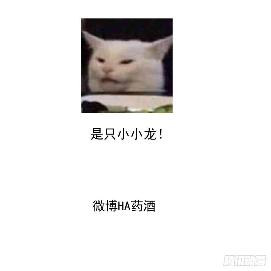 第154话 飞龙在天71