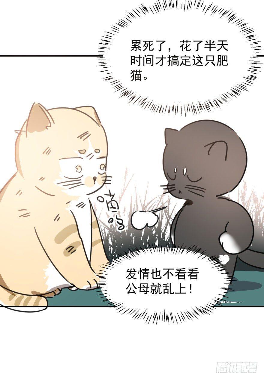 第二十五话 触碰逆鳞44