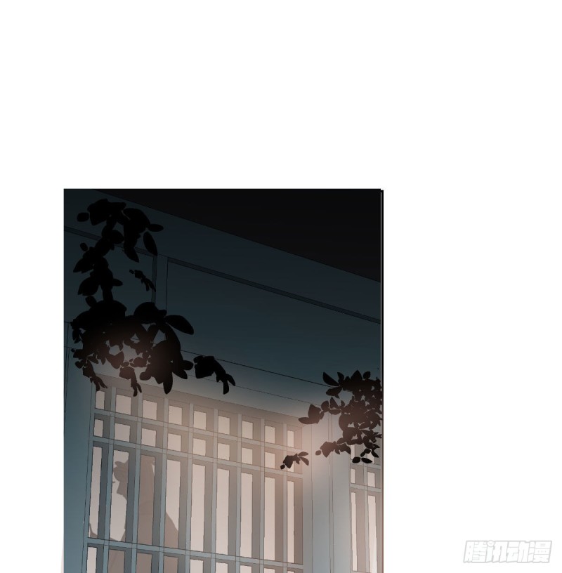 第116话 玄月走了6