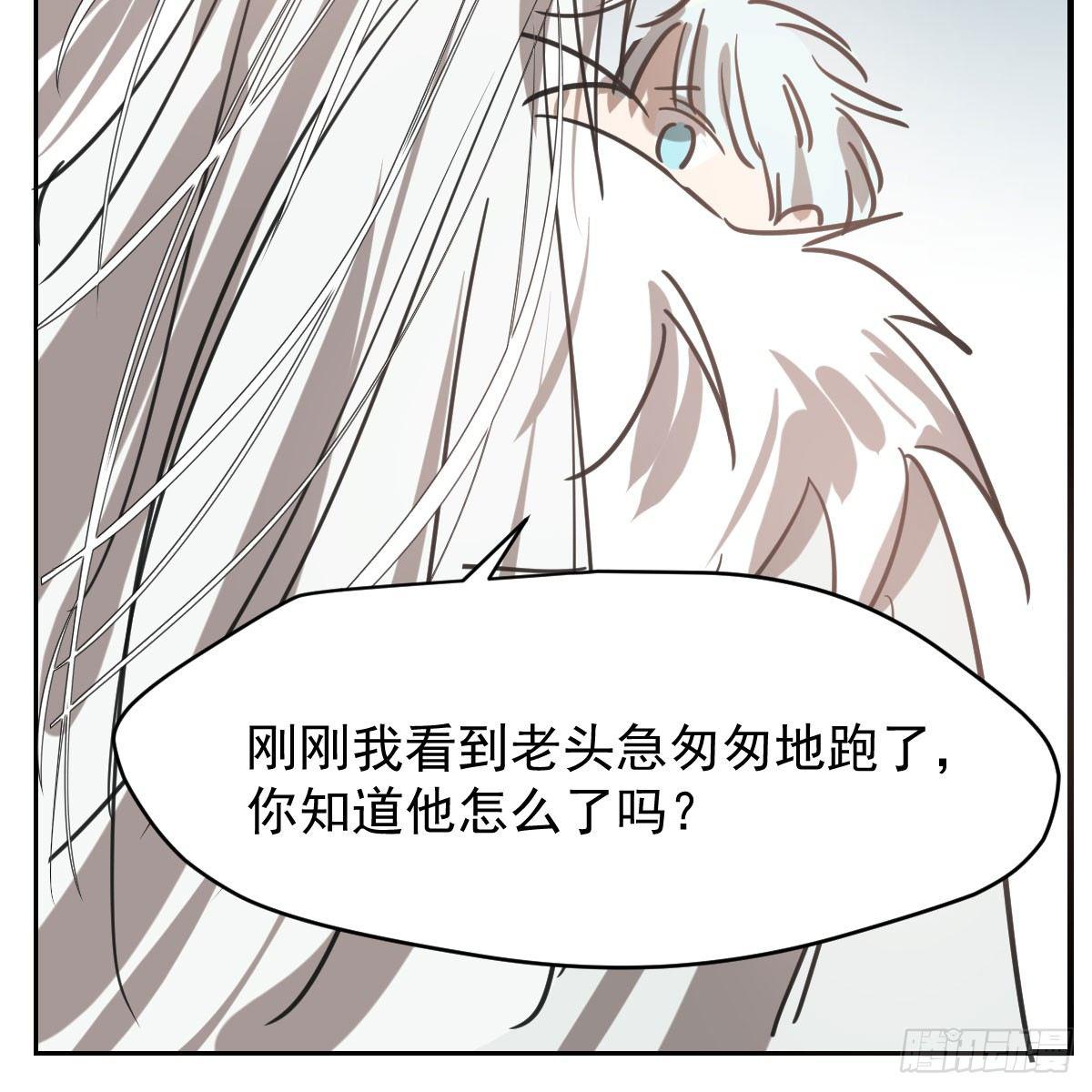 第六十八话 小披风我回来了22