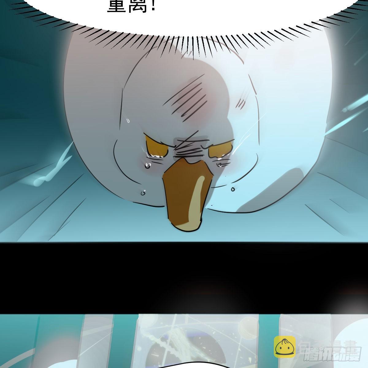 第215话 鸭鸭冲刺20