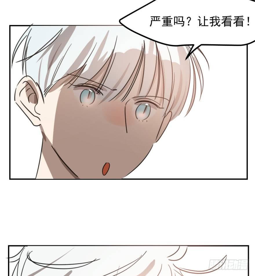 第四十二话 花卉养护72
