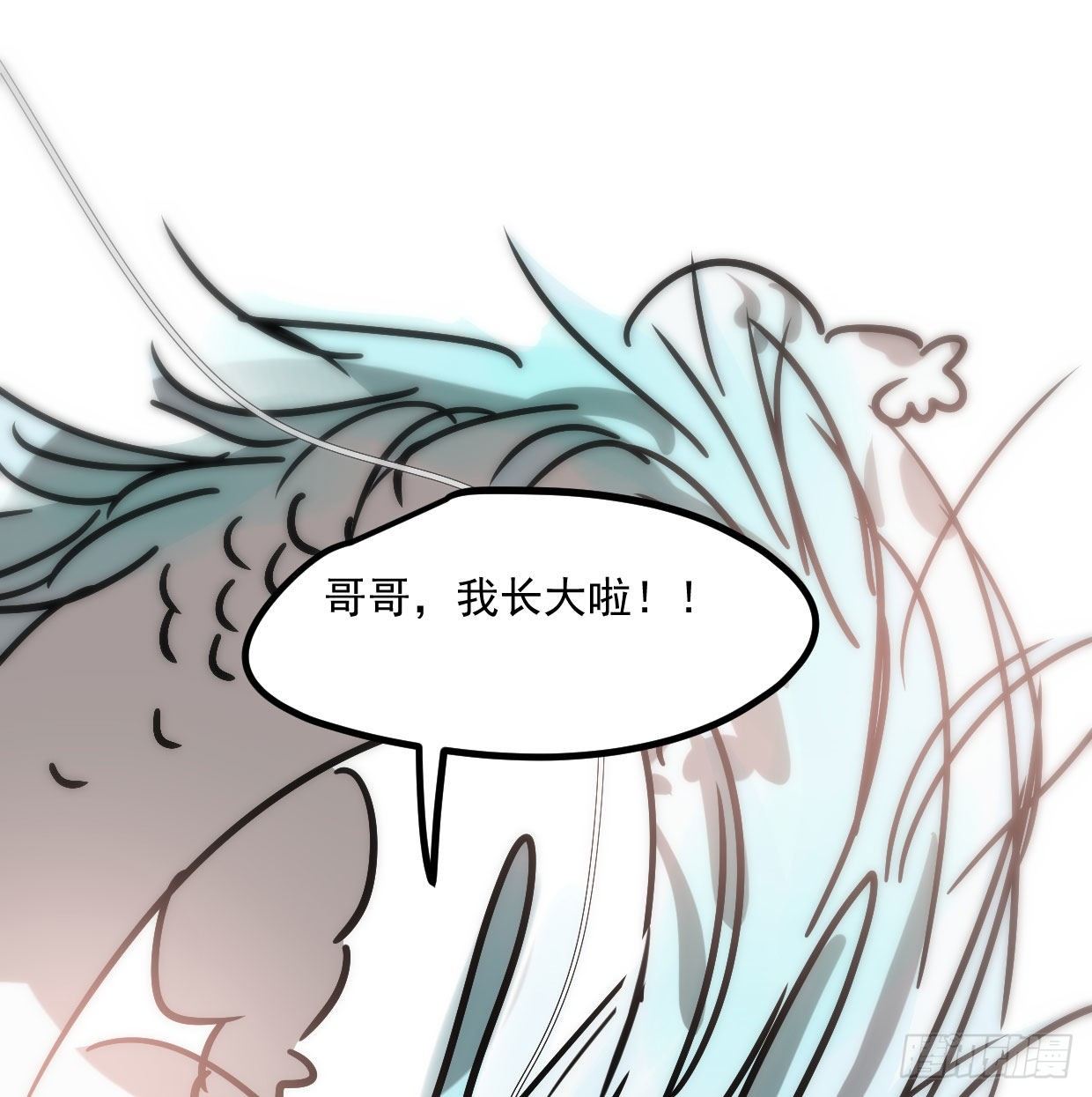 敖敖的诞生日18