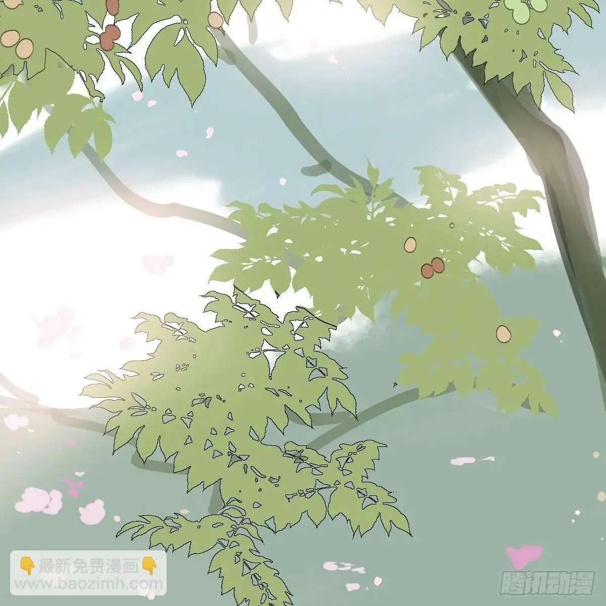 后篇1   了解（1）2