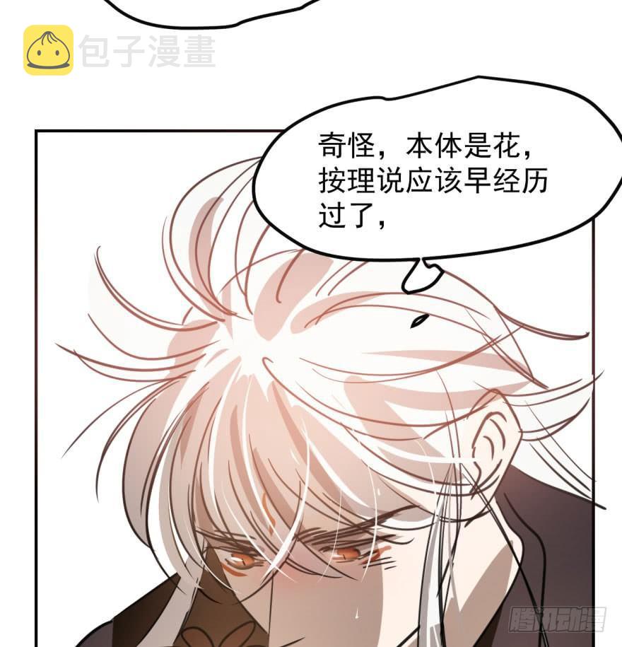 第四十二话 花卉养护29