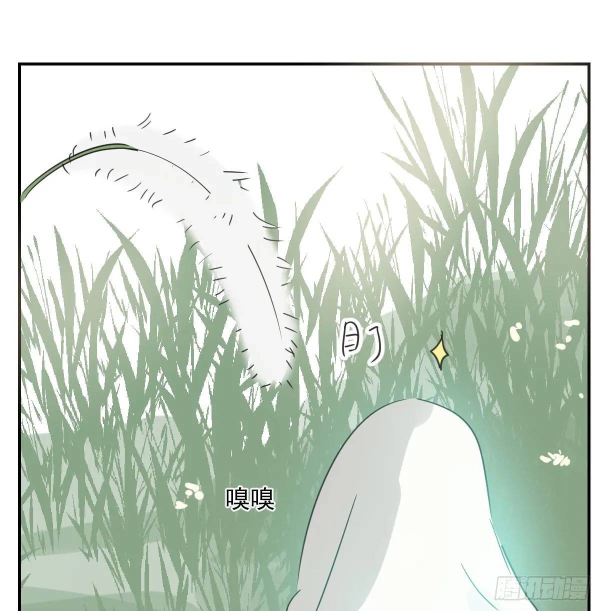 番外 小种子流浪记17