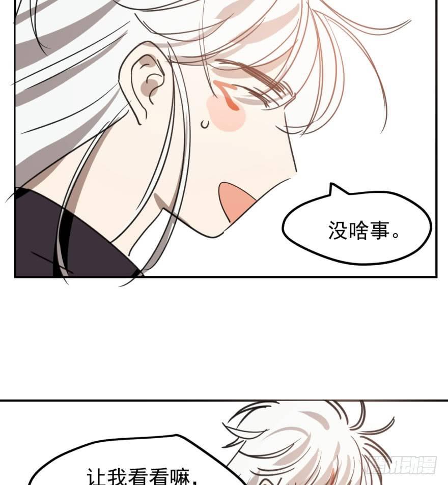 第四十二话 花卉养护73