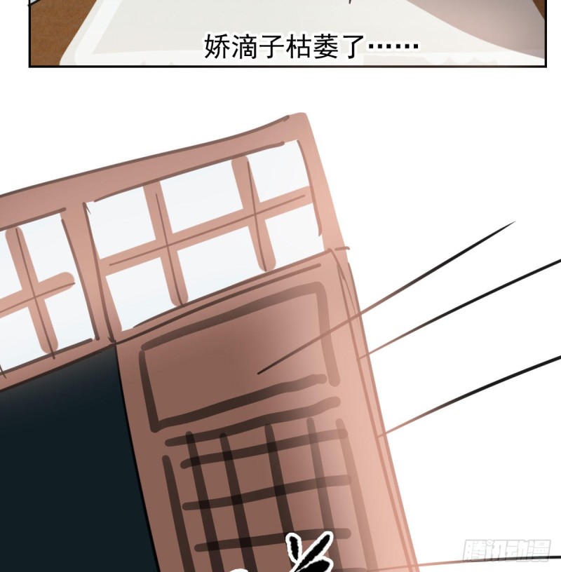第116话 玄月走了12
