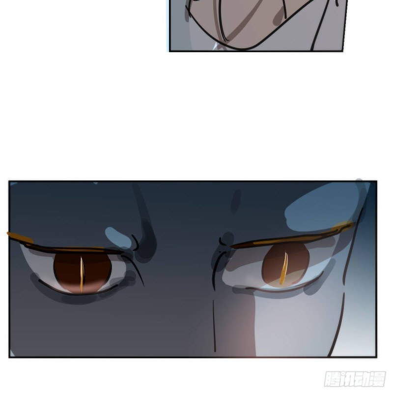 第138话 说出实情17