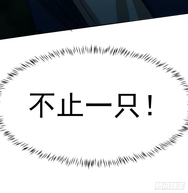 第135话 玄月变身15