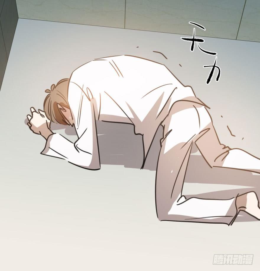 第四十二话 花卉养护18