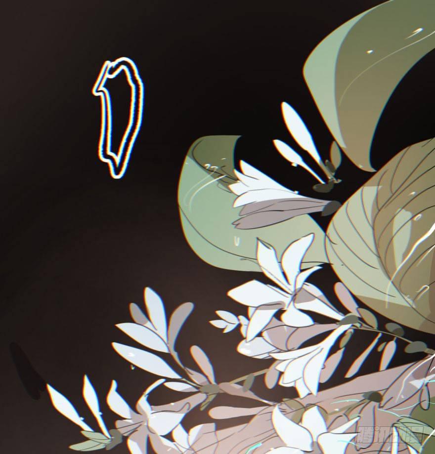 第四十二话 花卉养护64