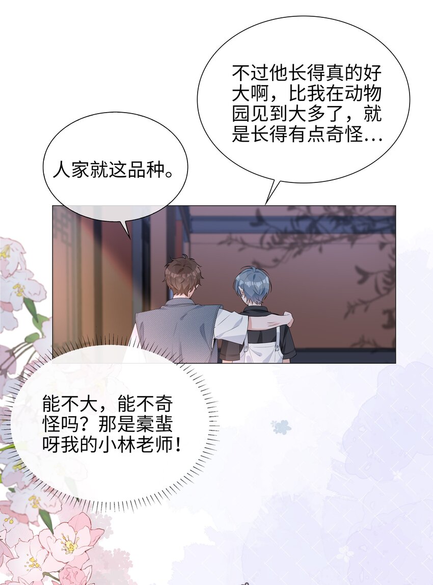 024 爱情的秘密39