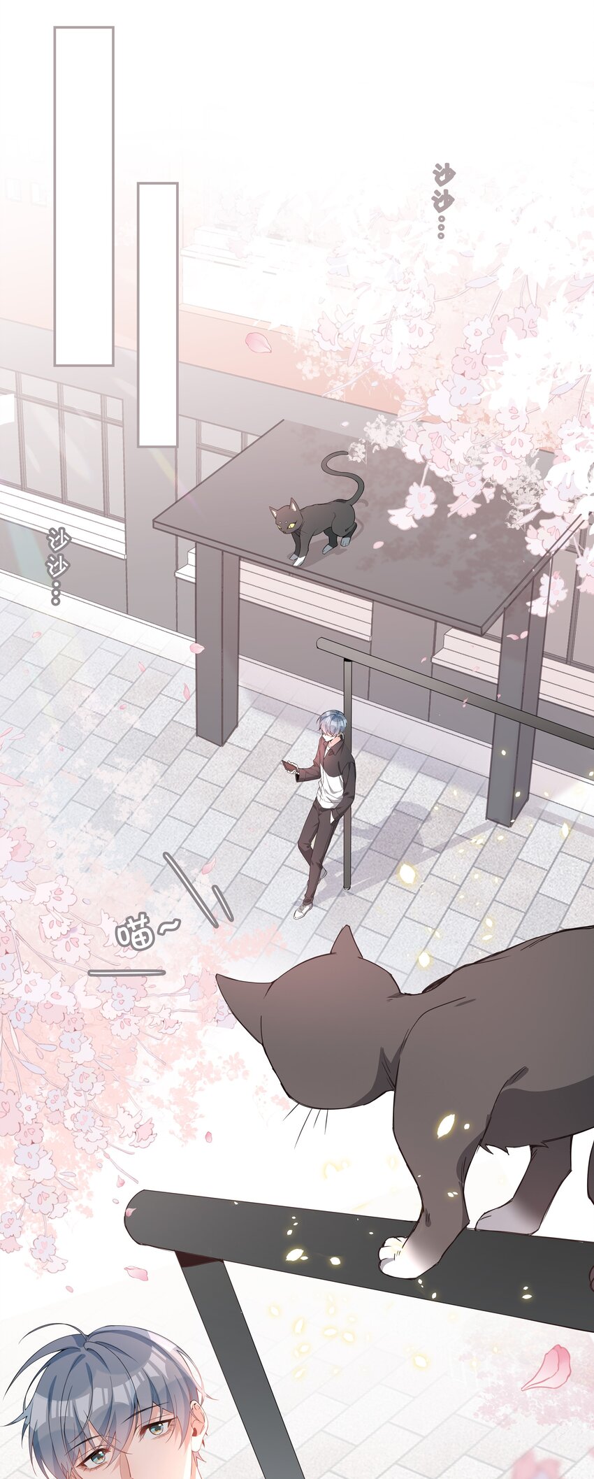 013 公主抱11