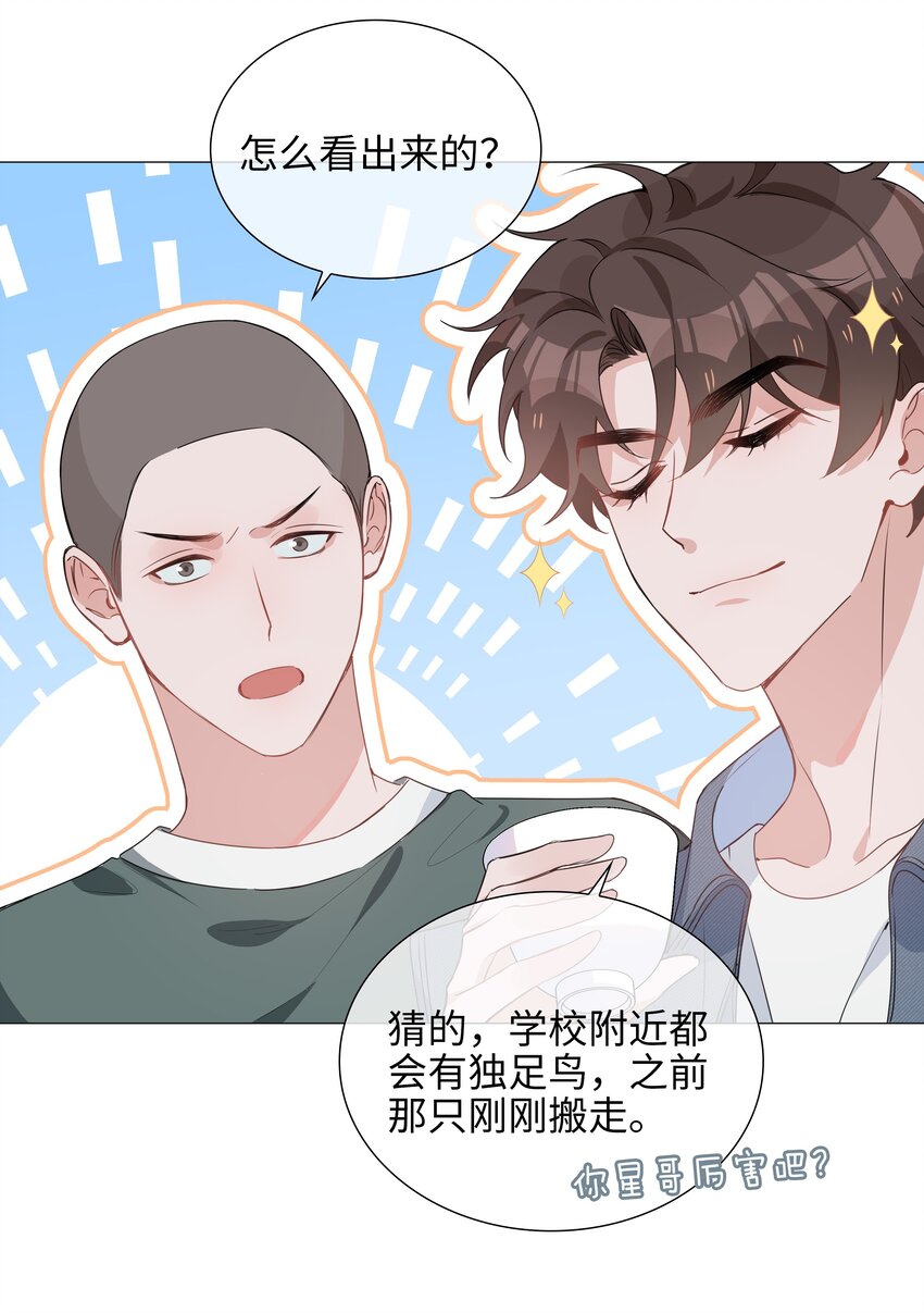 024 爱情的秘密31