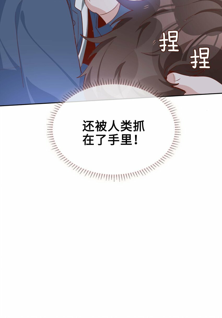 058 变出尾巴了！24