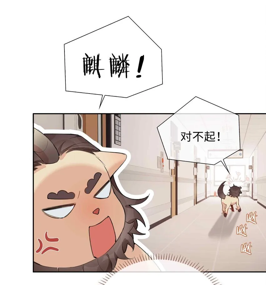 第94话 你是超猛的龙血树！13