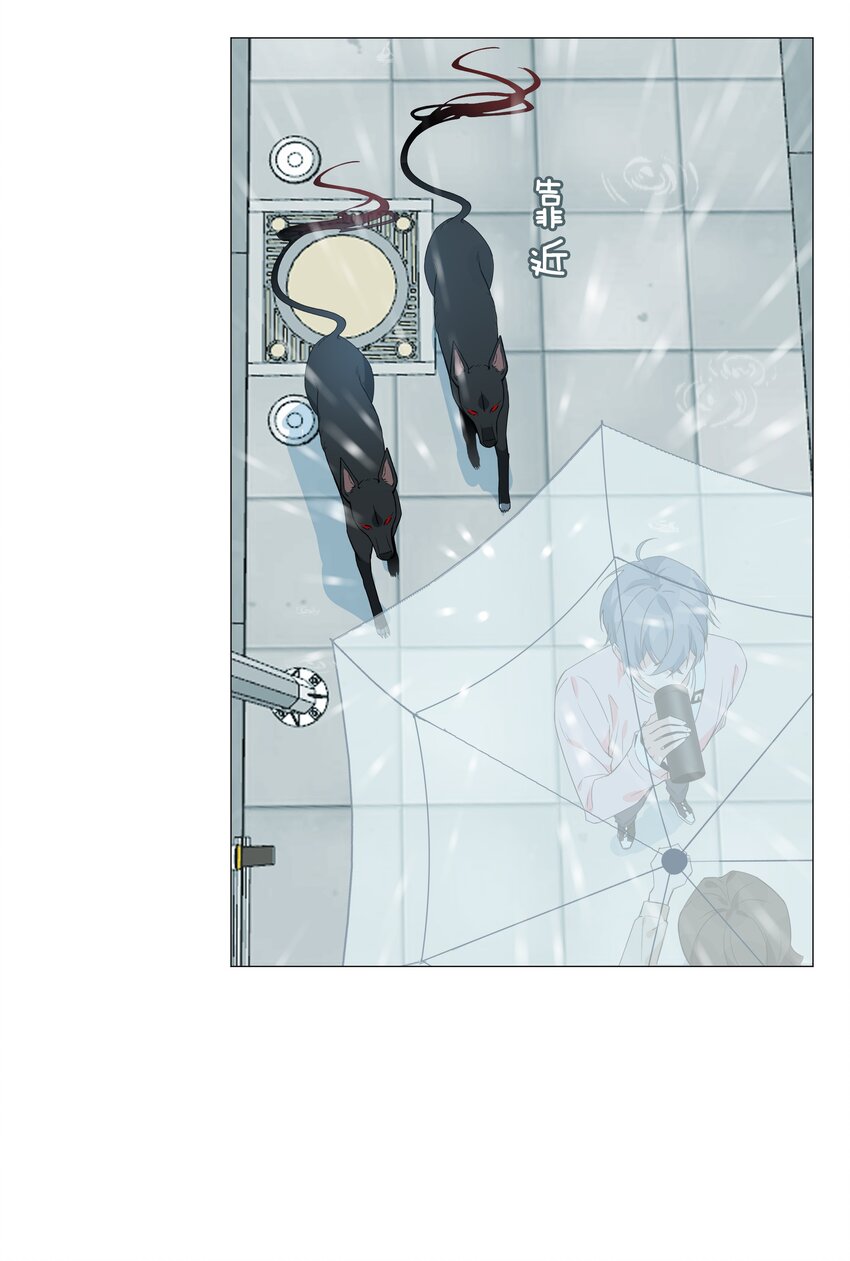 025 深夜投喂28