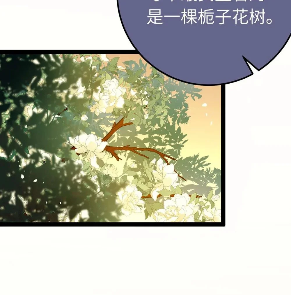 151 实现的愿望4