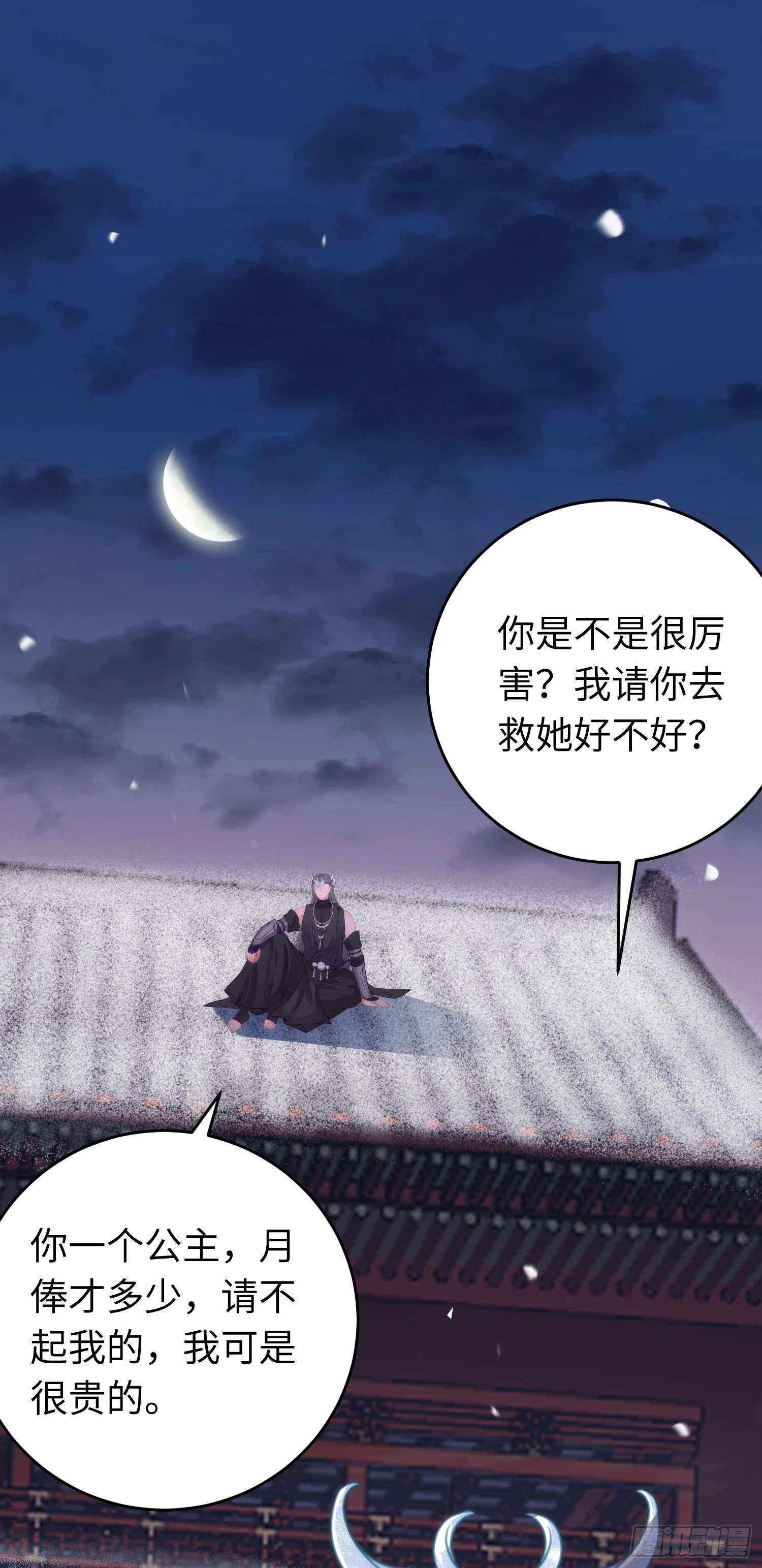 57 公主失踪29